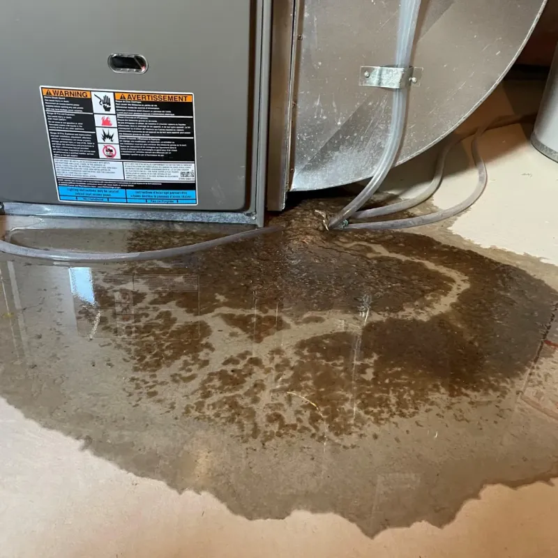 Appliance Leak Cleanup in Tarrant, AL